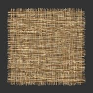 Burlap canvas with lacerate edge
