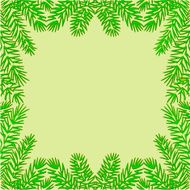 Frame of the branches spruce Christmas theme vector