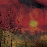 Darkness landscape