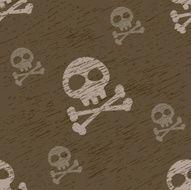 Skulls pattern N2