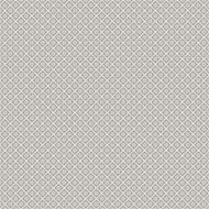 seamless texture N61