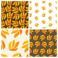 Autumnal patterns