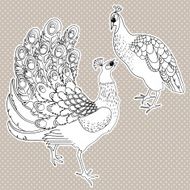 Two isolated exotic birds