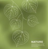 leaves background N17