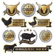 Organic Meat Poultry Grunge Black and Gold vector icon set