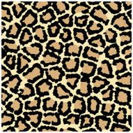 Leopard print texture