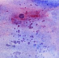 Speckled hand painted watercolor texture