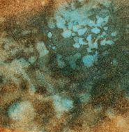 texture background N11