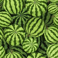 Seamless background with green watermelons Vector illustration