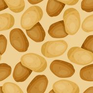 Seamless vector pattern with fresh ripe potatoes