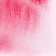 Rose colored watercolor background N3