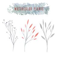 Set of watercolor flowers N4