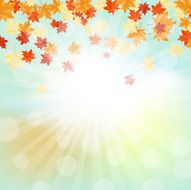 Autumn Frame N63