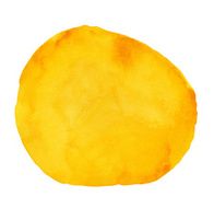 Textured Orange watercolour Shape
