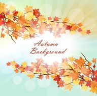 Autumn Frame N65
