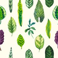 Vector illustration with tropical leaves N17