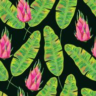 Seamless tropical pattern with exotic banana leaves and dragon fruits