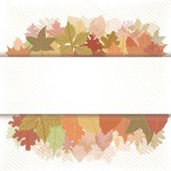 Autumn banner leaf