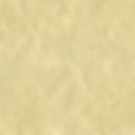 Parchment Paper Texture Background N2