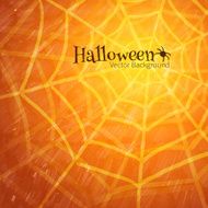 Halloween background with spider web N2