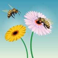 Honey Bee N8