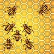 Working bees N2