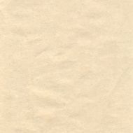 Paper texture background N14