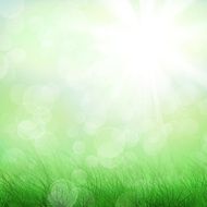 Blue sky and green field