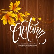 Autumn background with leaf and wood texture Vector illustration N4