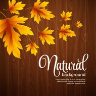Autumn background with leaf and wood texture Vector illustration N5