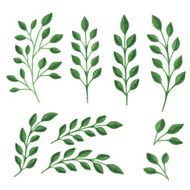 Green branches N4
