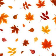 Seamless pattern with various autumn leaves on white Vector illustration