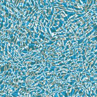 Abstract Blue Background for Design N4