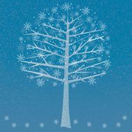 snow tree N2