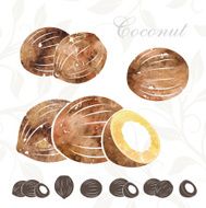 Coconut icons set N2