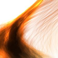 Abstract fire flames illustration N8