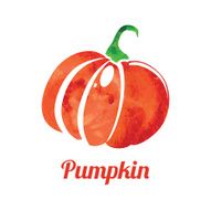 Pumpkin N47