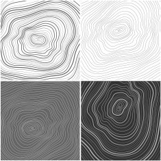 Vector tree rings background topographic map background concept