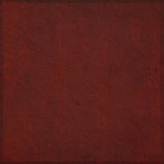 Grunge vector background N52