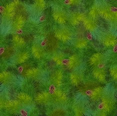 Christmas fir tree texture N2