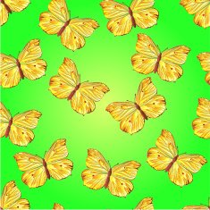 Seamless texture butterfly Gonepteryx rhamni vector