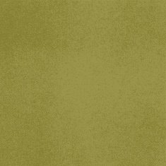 Vector canvas Yellow-green color