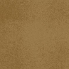 Vector canvas Light brown color