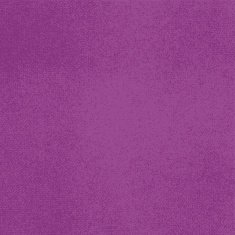 Vector canvas purple color