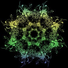 Roses and camomiles Mandala freehand drawing ornament pattern