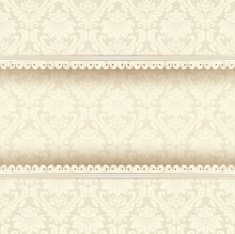 Vintage background with floral ornaments N2