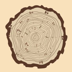 Tree rings and saw cut tree trunk vintage style
