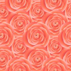 Rose seamless pattern Vector background N4