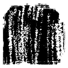 Black and white vector grunge texture