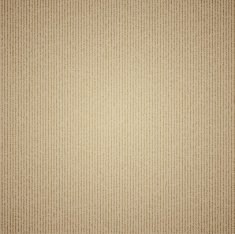 Vector cardboard texture background Eps 10
